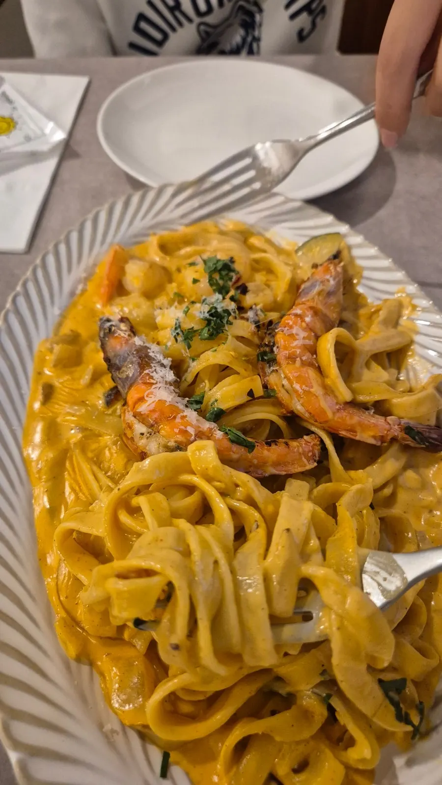 Thick noodles of the Toowoomba pasta in creamy sauce