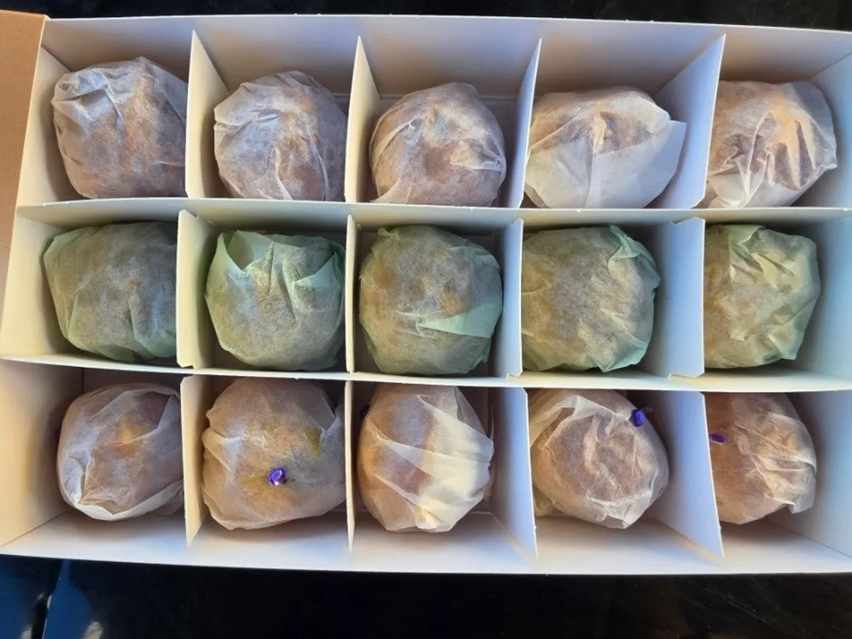 仕切りに個別包装された15個入りくるみ菓子箱