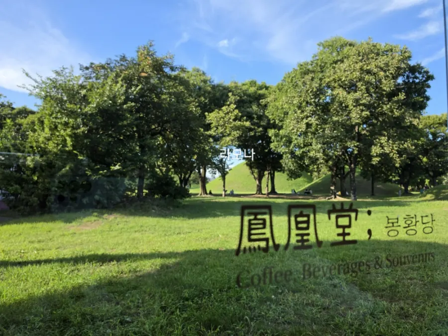 Atmosphere at Cafe Bonghwangdang near Daereungwon