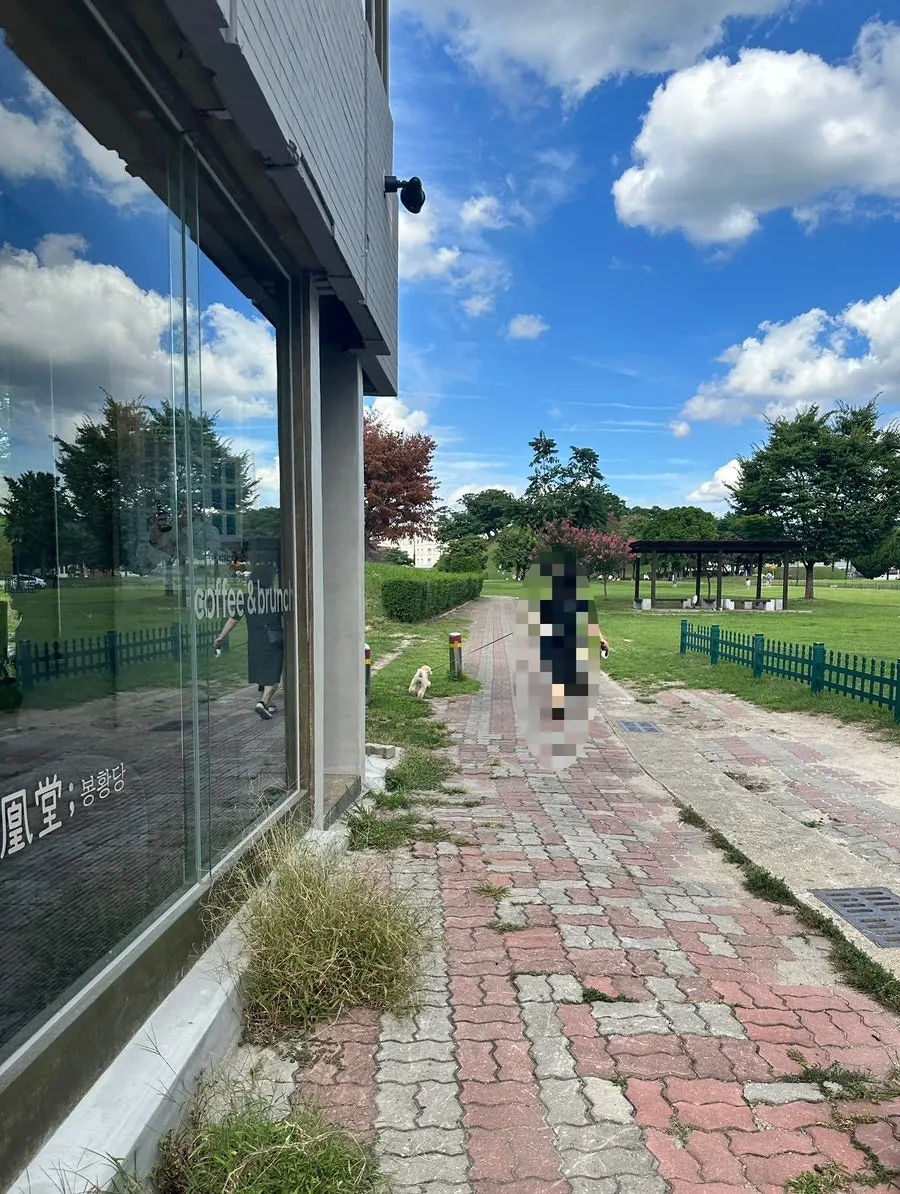 Floor-to-ceiling window view and traditional interior at Cafe Bonghwangdang