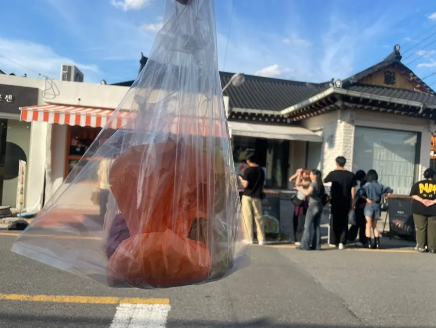 Colorful hanji-wrapped fruit mochi