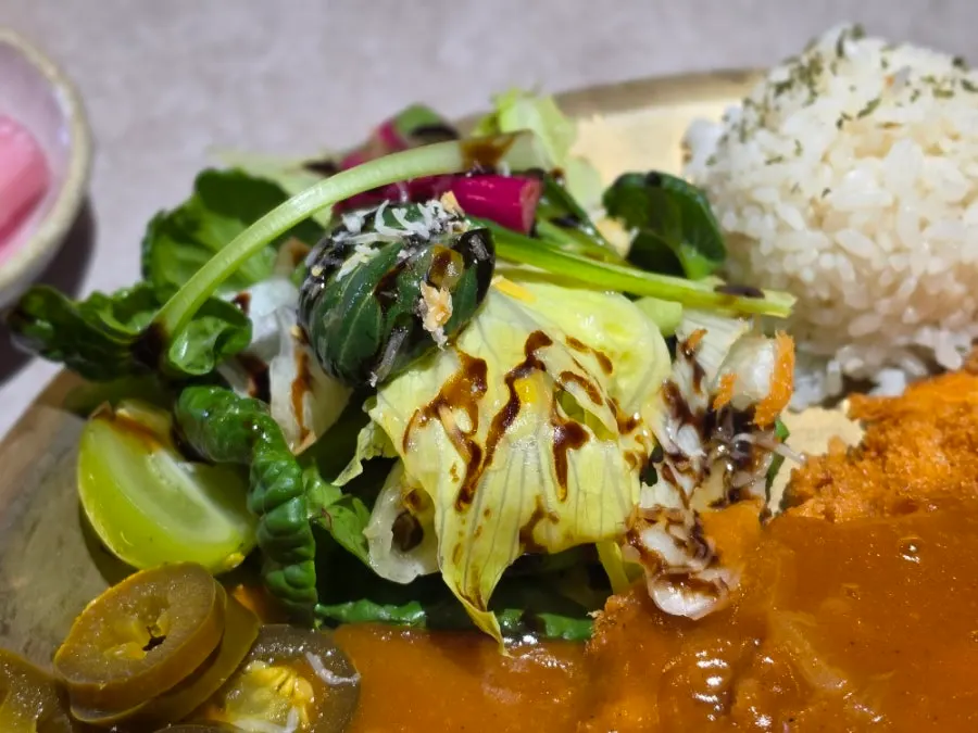 Pork loin cutlet with house-made sauce and salad