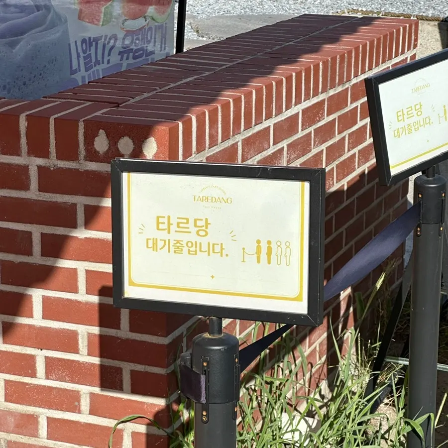 첨성대 산책 코스에서 먹는 과일모찌