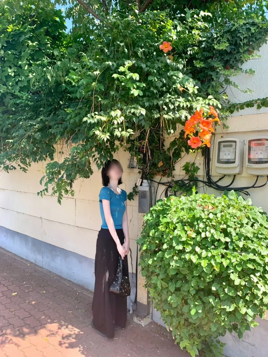 미담키친 가는 길에 본 경주 능소화