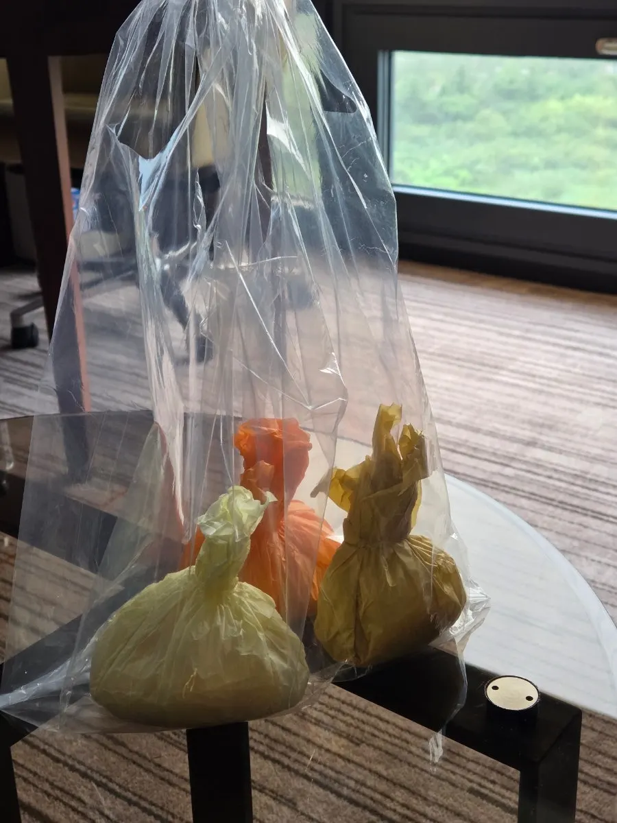 Tareudang takeout box brought back to the guesthouse