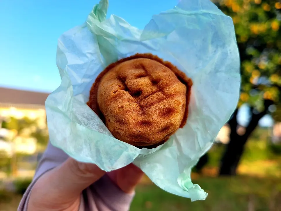 Buja Hodu matcha walnut pastry