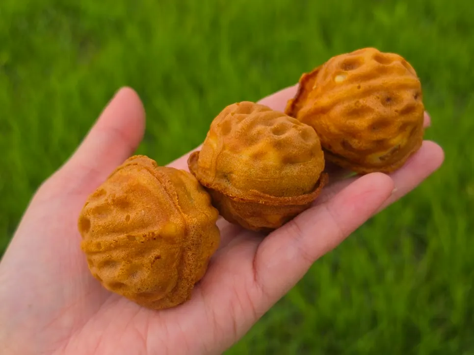 Walnut pastries held in hand for size comparison