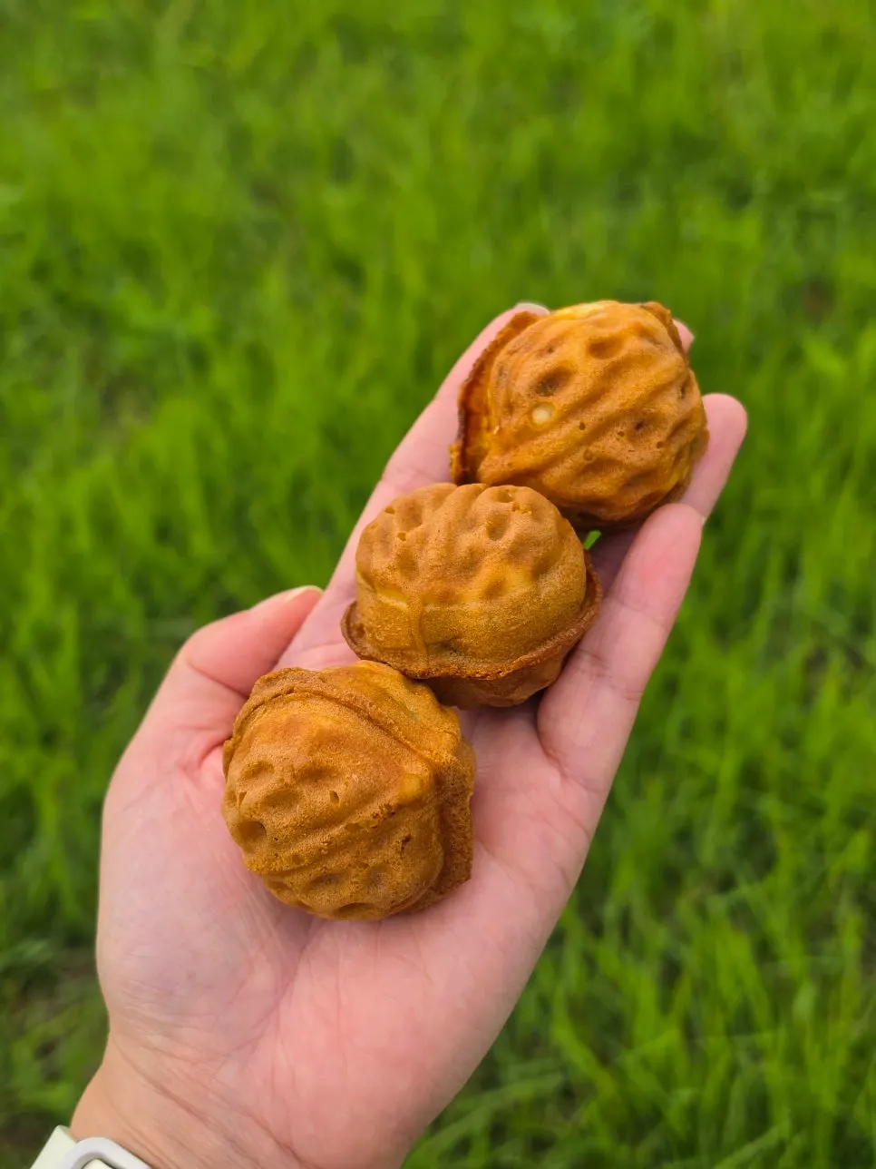 Evenly shaped walnut pastries from Buja Hodu