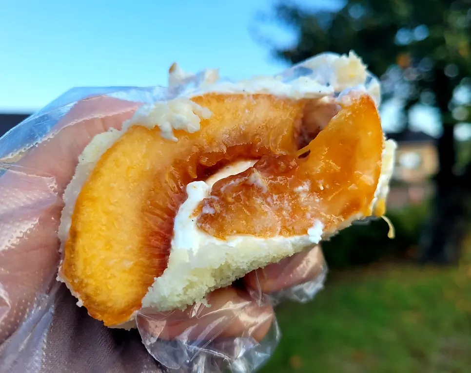 Fruit mochi from Tareudang on Hwangnidang-gil in Gyeongju