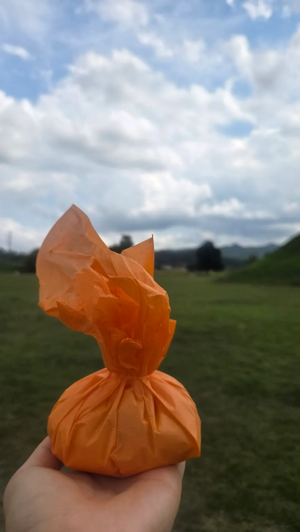 Fruit mochi held up against the Gyeongju scenery