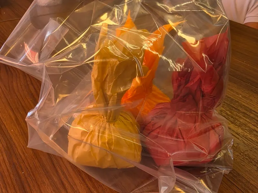 Tareudang's fruit mochi packaging