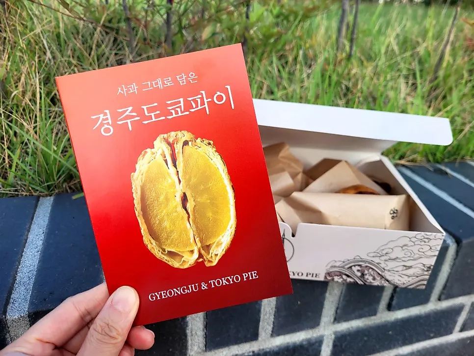 Gift-wrapped box from Gyeongju Tokyo Pie