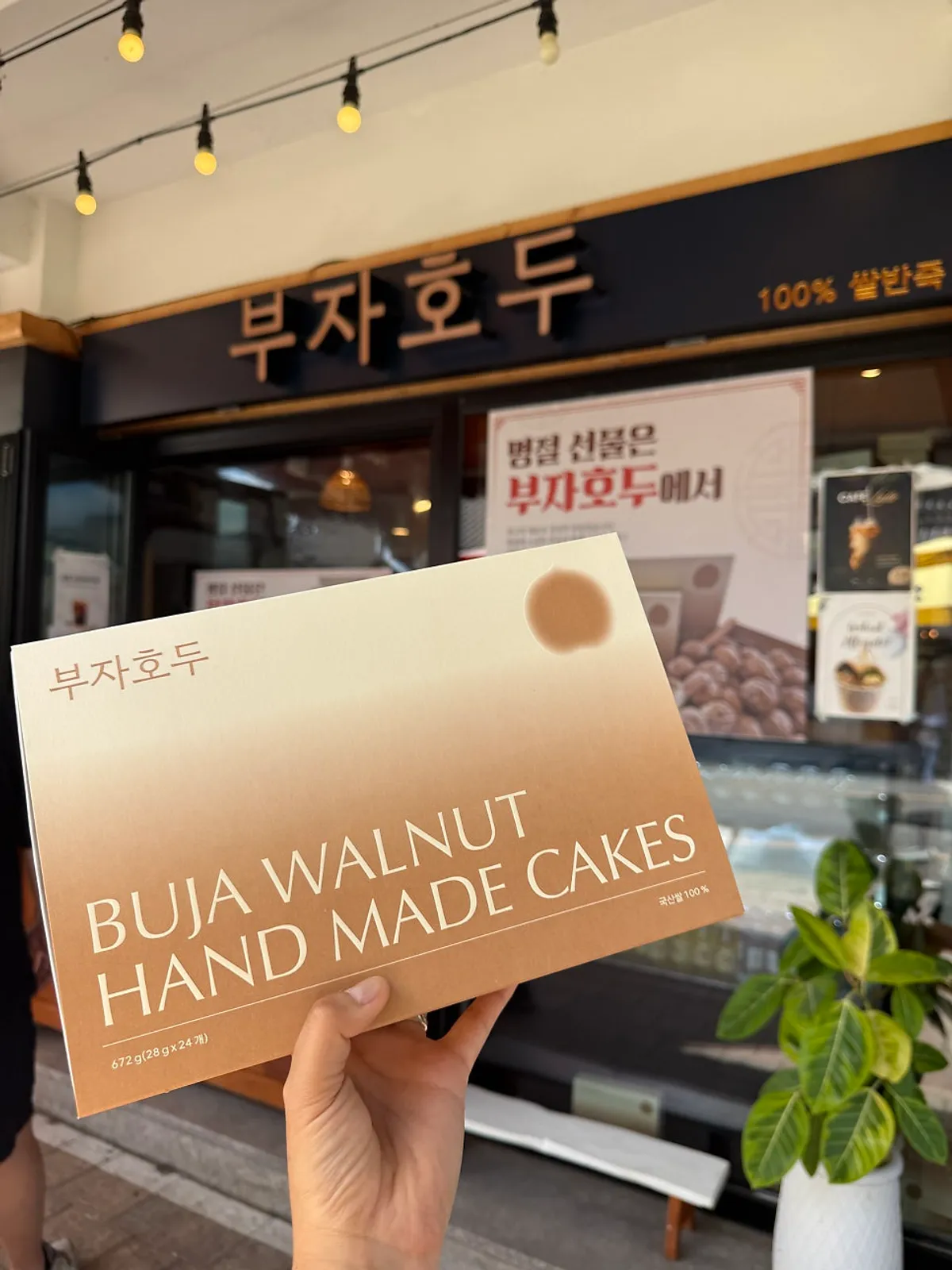 Finished round walnut pastries from Buja Hodu