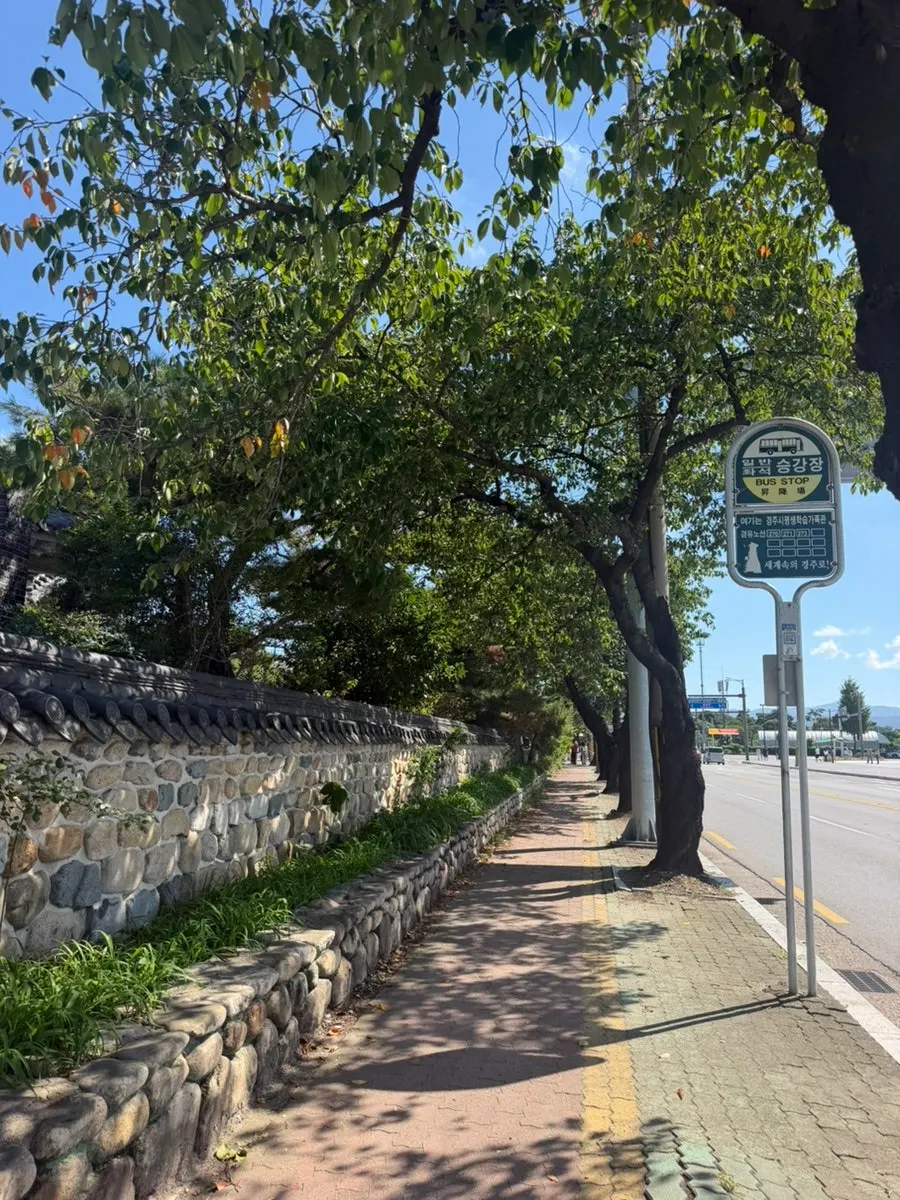 Early autumn outing atmosphere in Gyeongju
