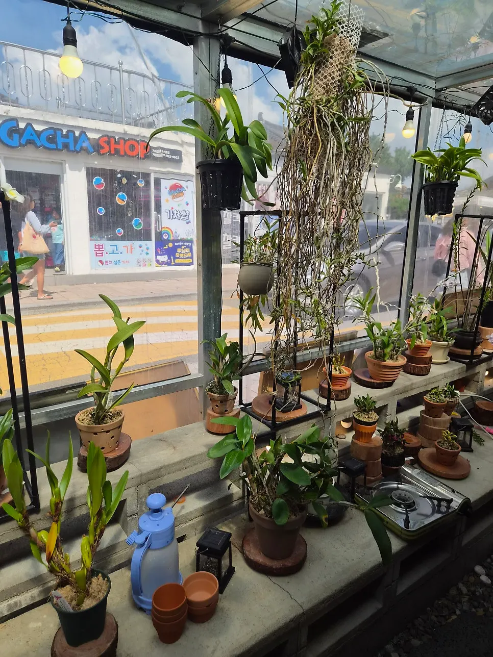 경주 황리단길 아이 식사 묵은지등갈비찜, 황남두꺼비식당