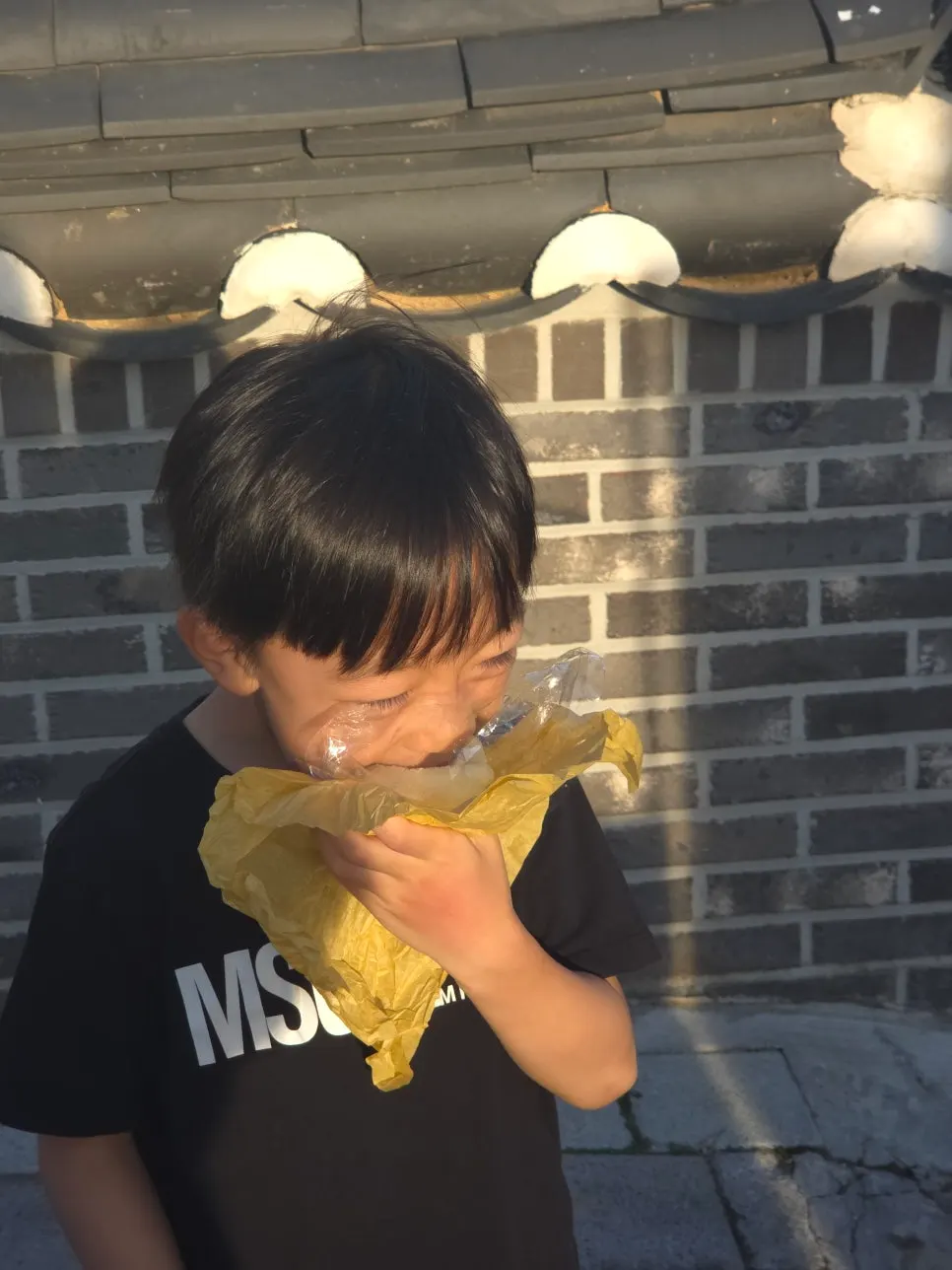 아이와 함께 먹는 골든키위 모찌