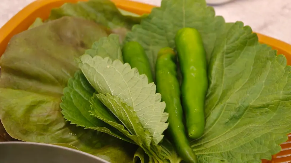 부드러운 계란찜과 싱싱한 야채 상차림