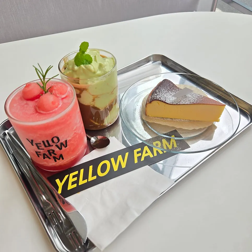 Avocado coffee, watermelon juice, and cheesecake