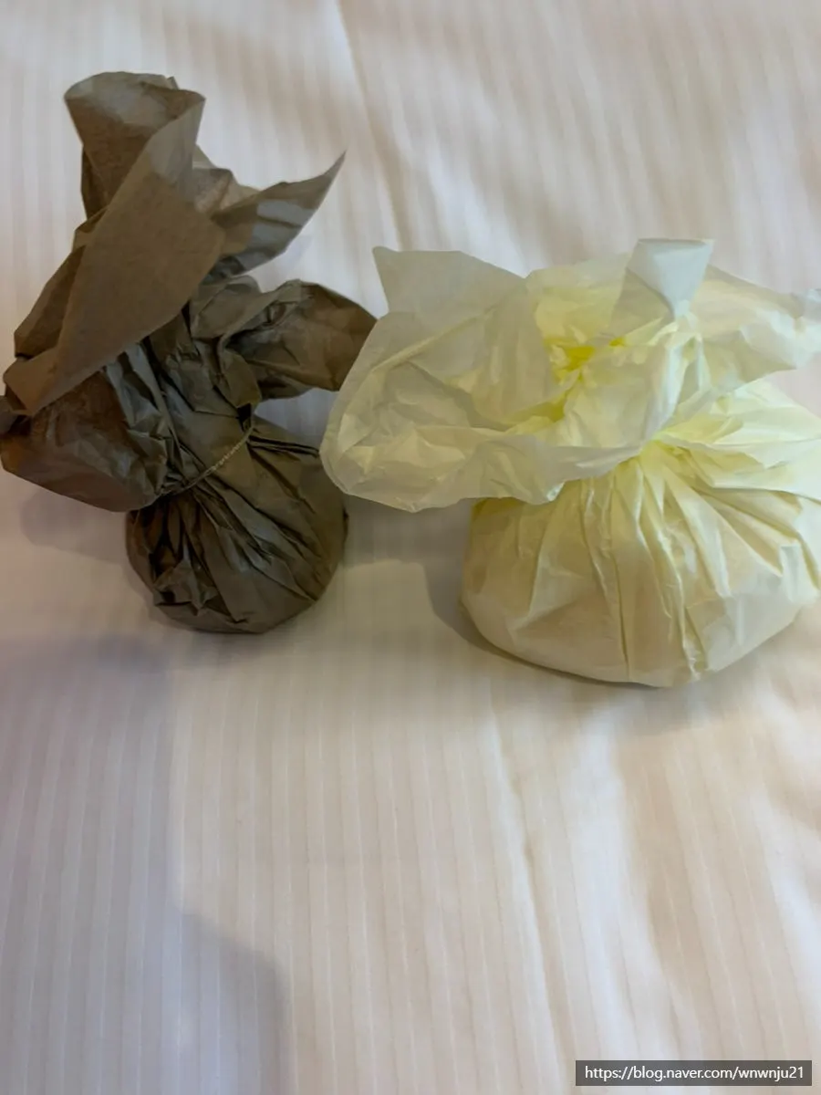 Mochi packed with an insulated bag