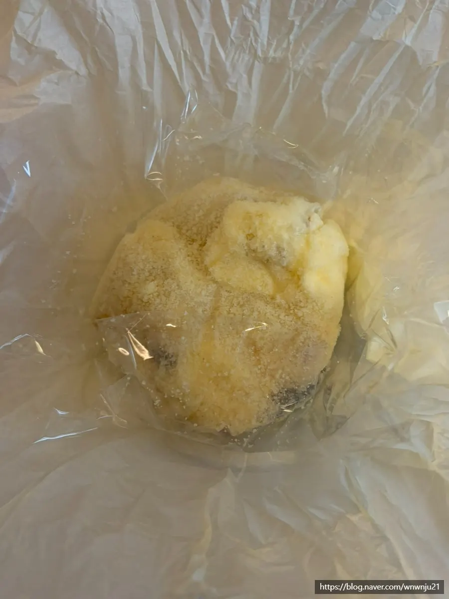 Double-wrapped Tareudang mochi