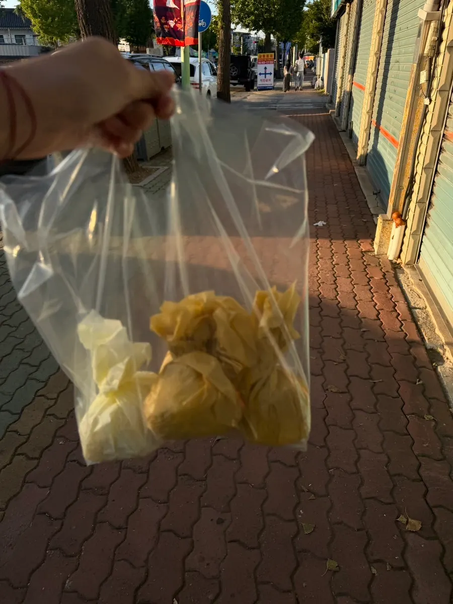 Fruit mochi from Tareudang eaten in Hwangnidang-gil