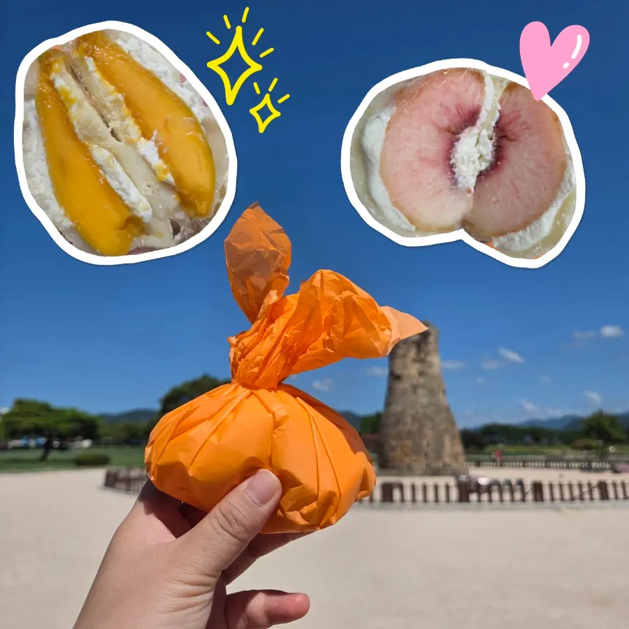 경주 타르당 매장 정보 안내