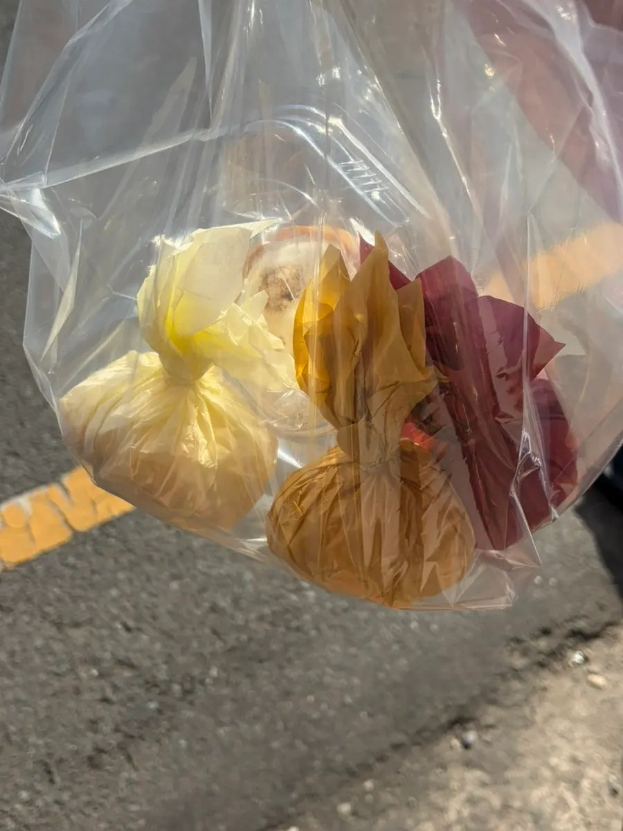 타르당에서 포장한 모찌 4종