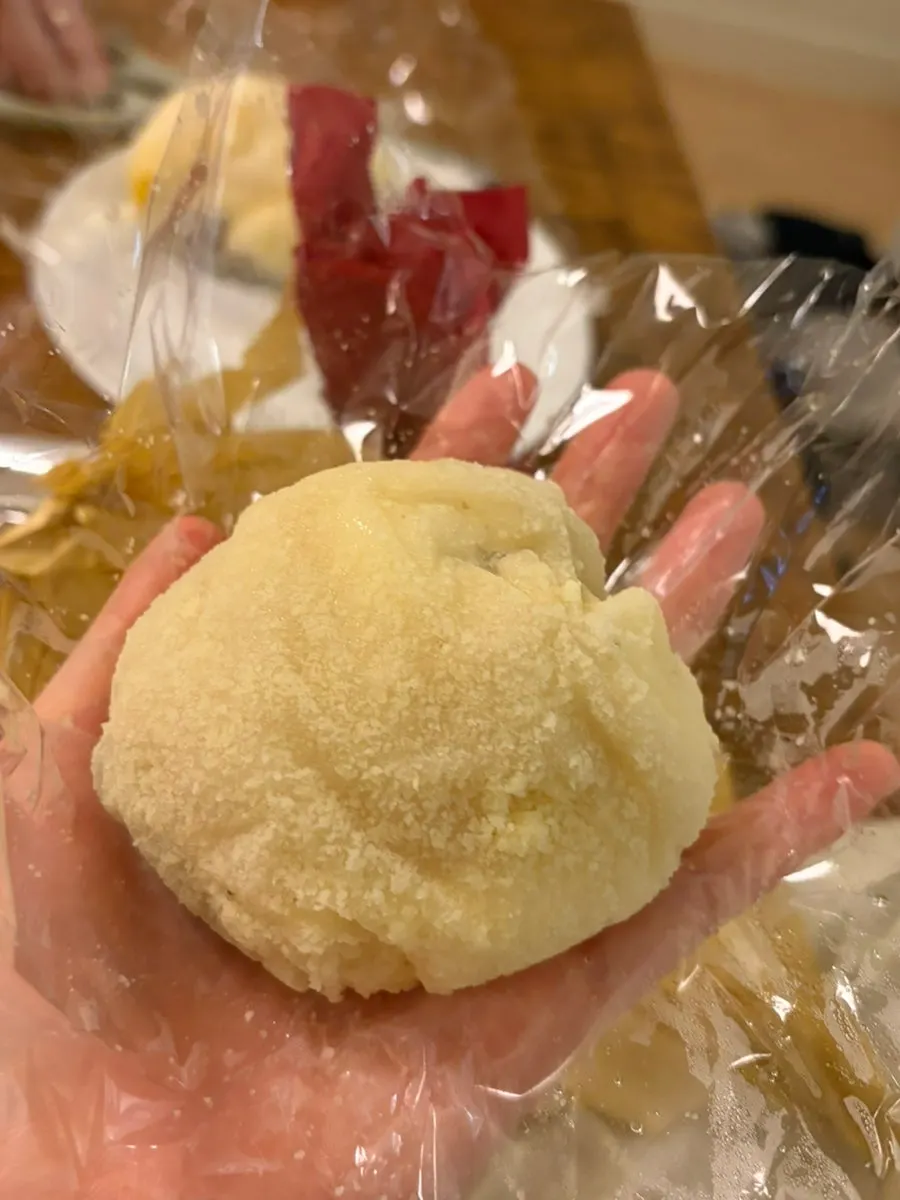손에 올린 타르당 모찌 크기 비교