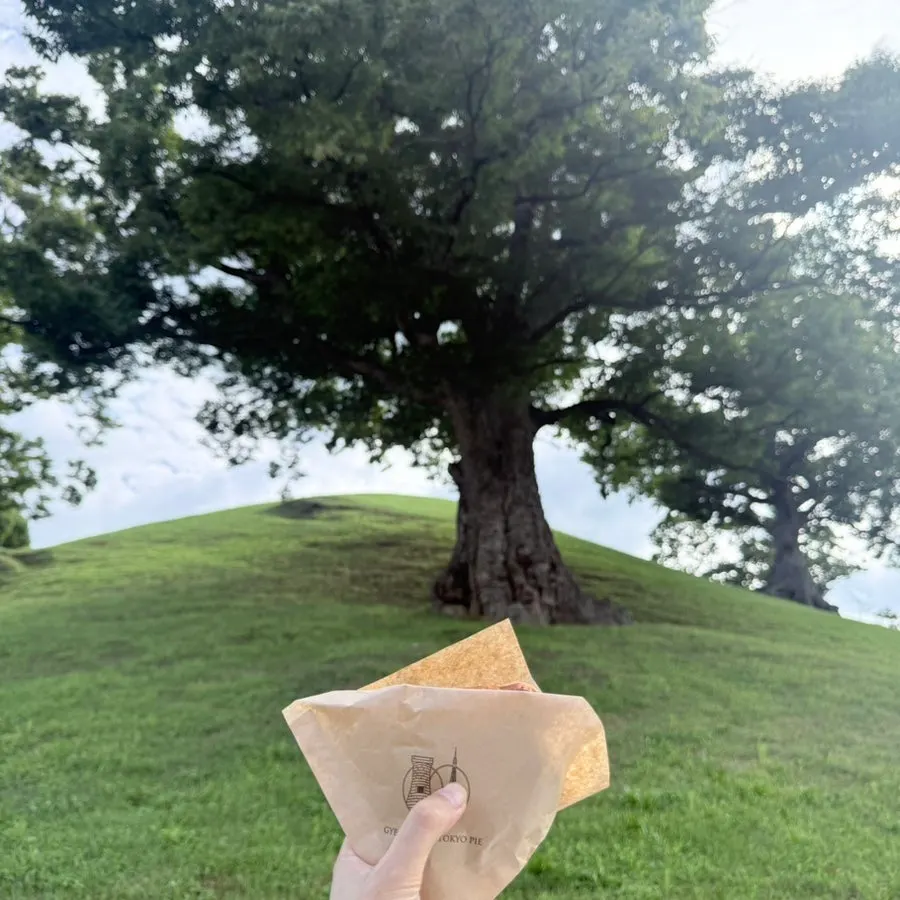 황리단길 산책 뒤 즐기는 파이 간식