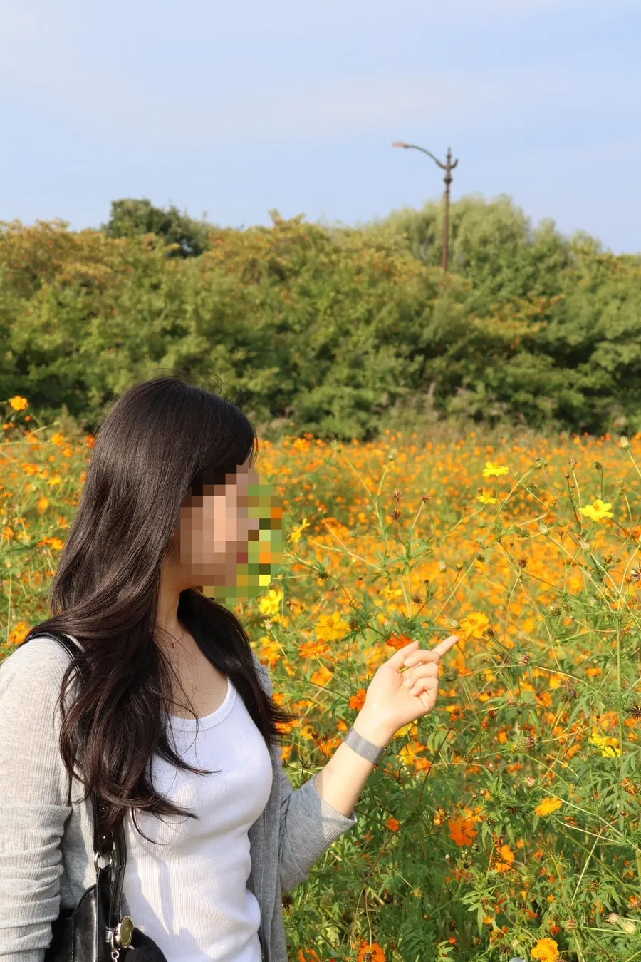 A portrait taken in the yellow cosmos field in front of Yard