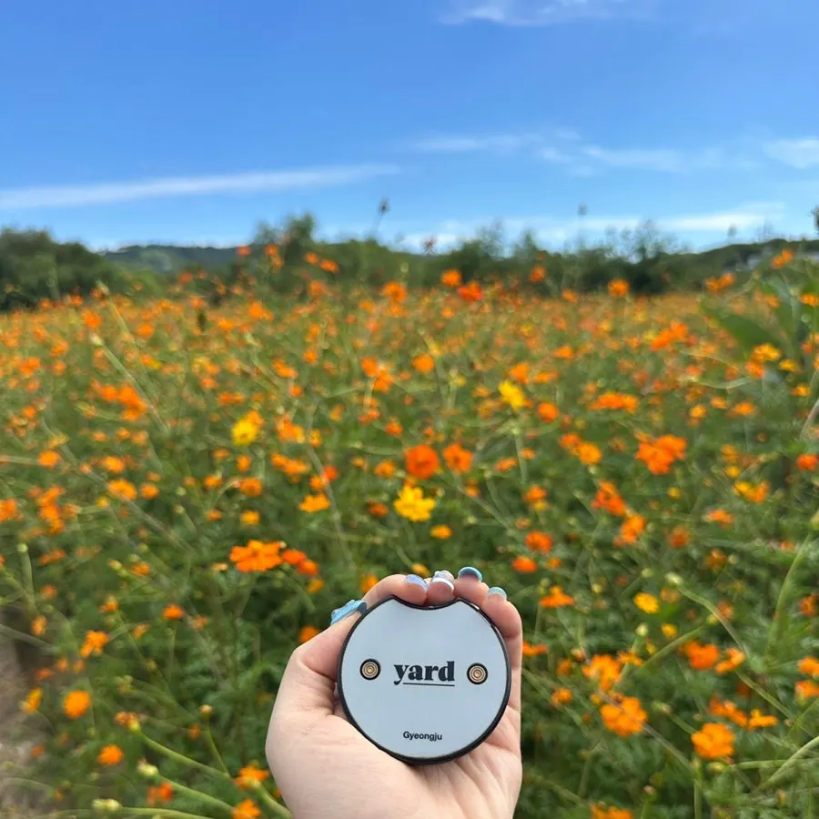 Yard's flower field, great for a fall outing