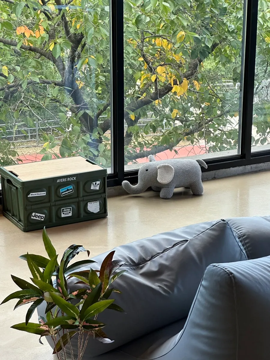 View of Yard with coffee, bean bags, and umbrella rentals
