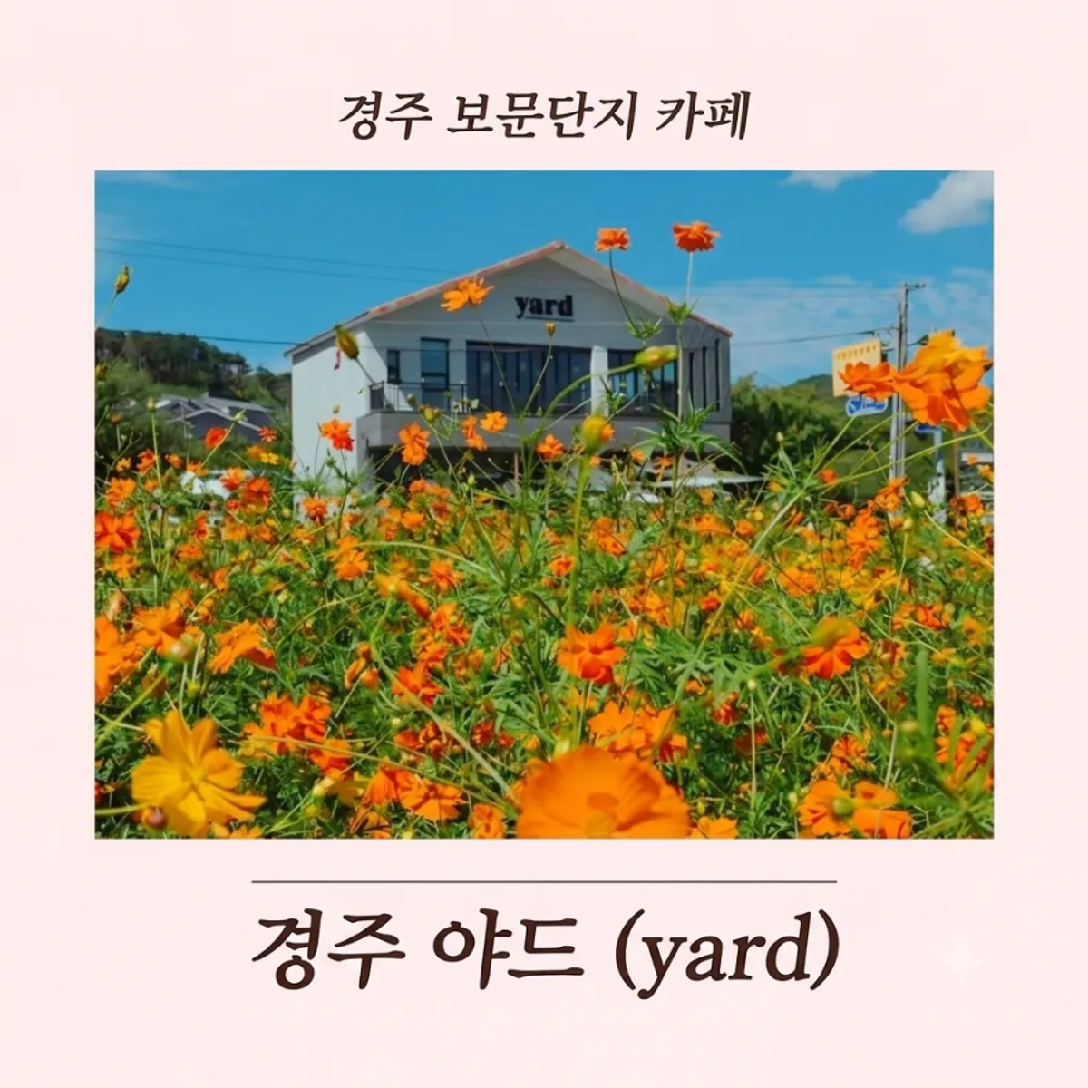Featured image of Yard in Gyeongju and its flower field