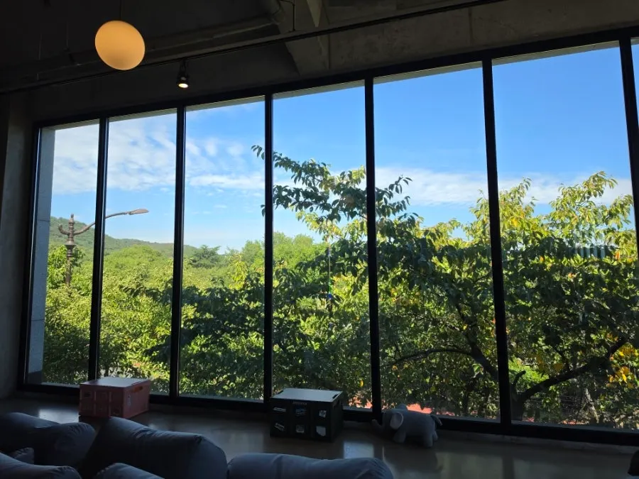 Café view through the floor-to-ceiling windows