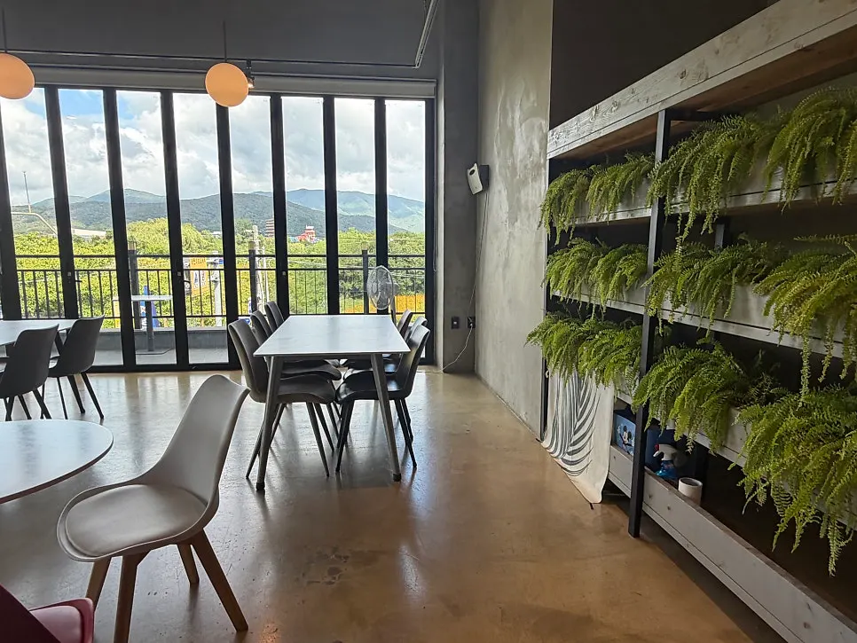 Tree view through the floor-to-ceiling windows
