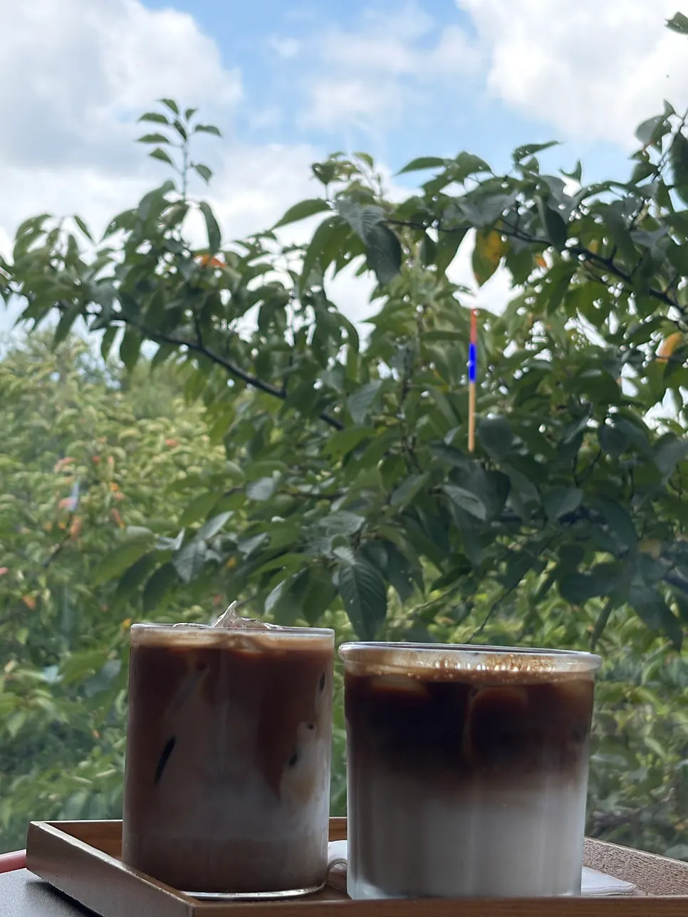 Latte enjoyed while looking at green scenery