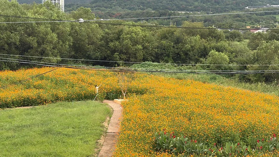 Final view of Yard café in Gyeongju's Bomun Tourist Complex