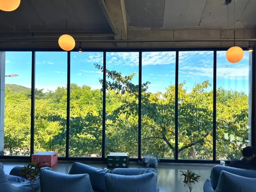 View through the window from Yard's second floor