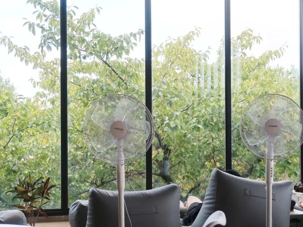 Second-floor space with a tree view