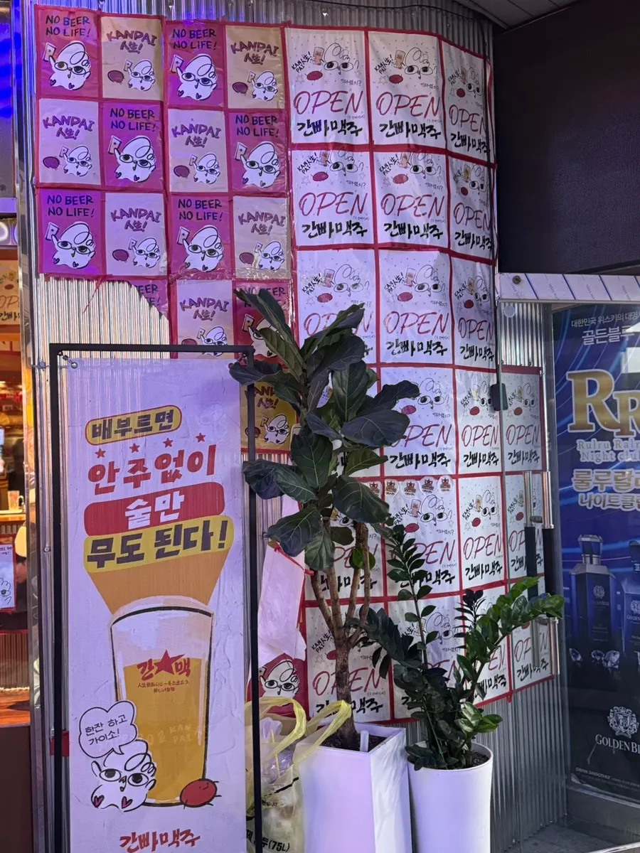간빠맥주 상남형제점 생맥주와 안주 마무리 사진