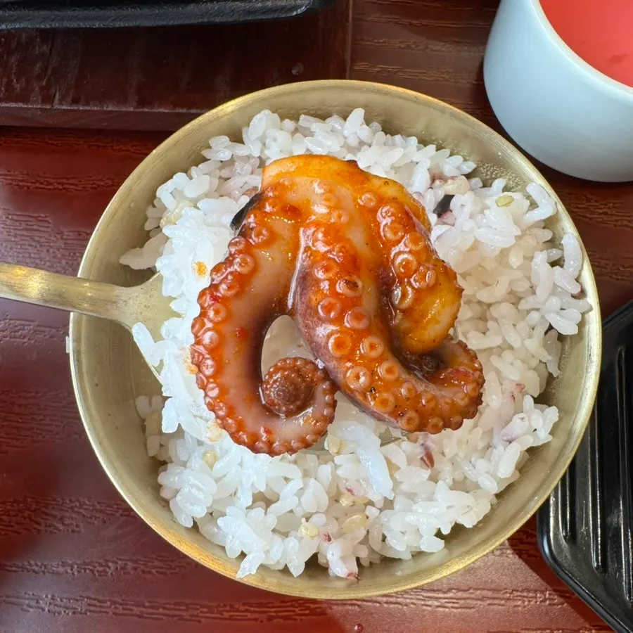 A piece of octopus over five-grain rice