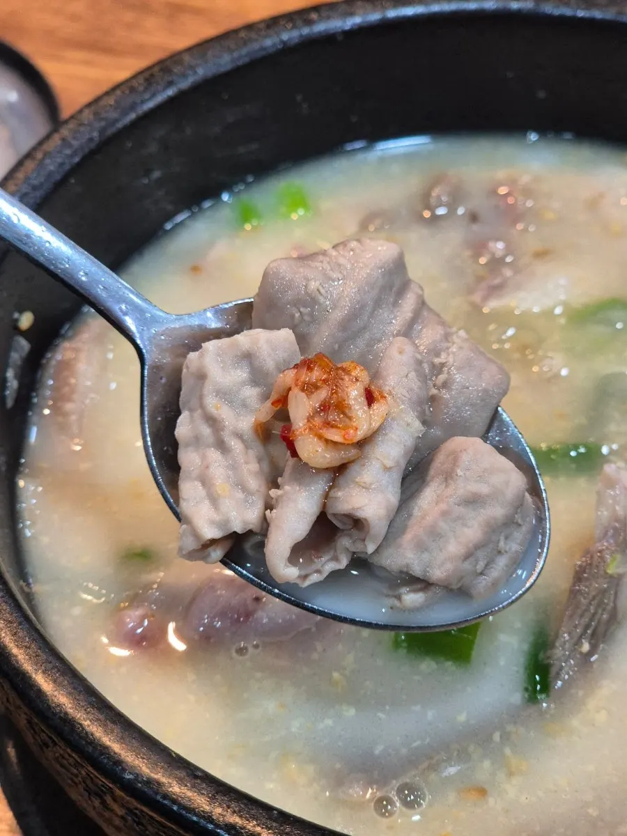 Close-up of the milky-white sundaeguk broth