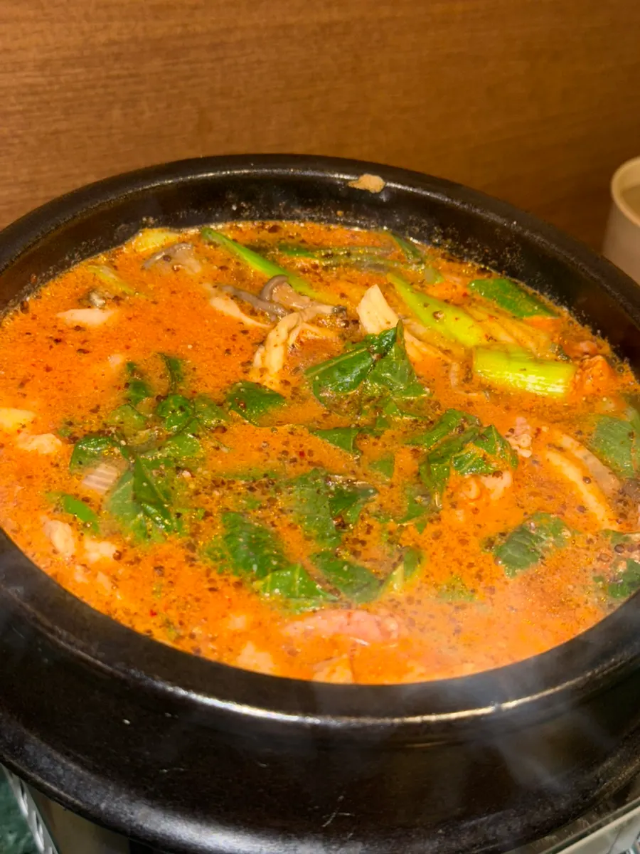 砂锅盛装的辣味鸭肉土豆汤