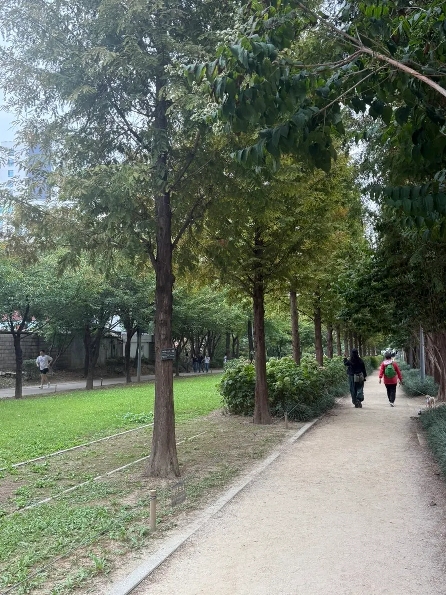고기꾼김춘배 홍대숲길점 매장 입구 모습
