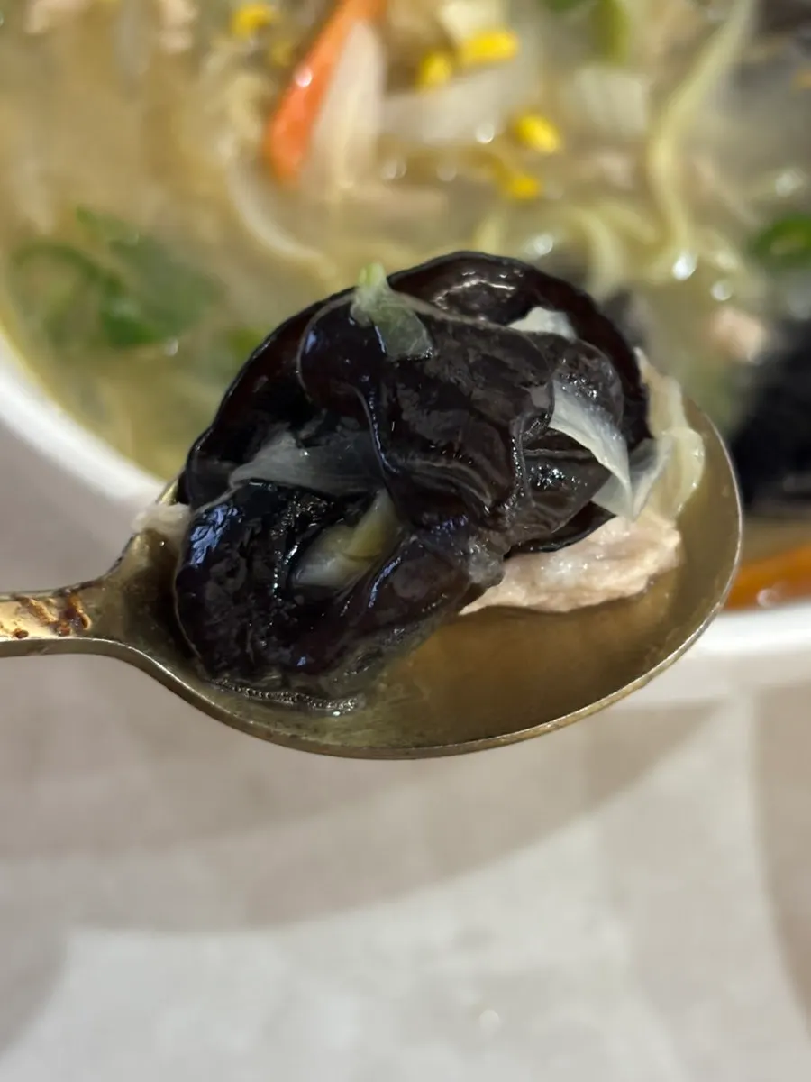 젓가락으로 건져 올린 백짬뽕 면
