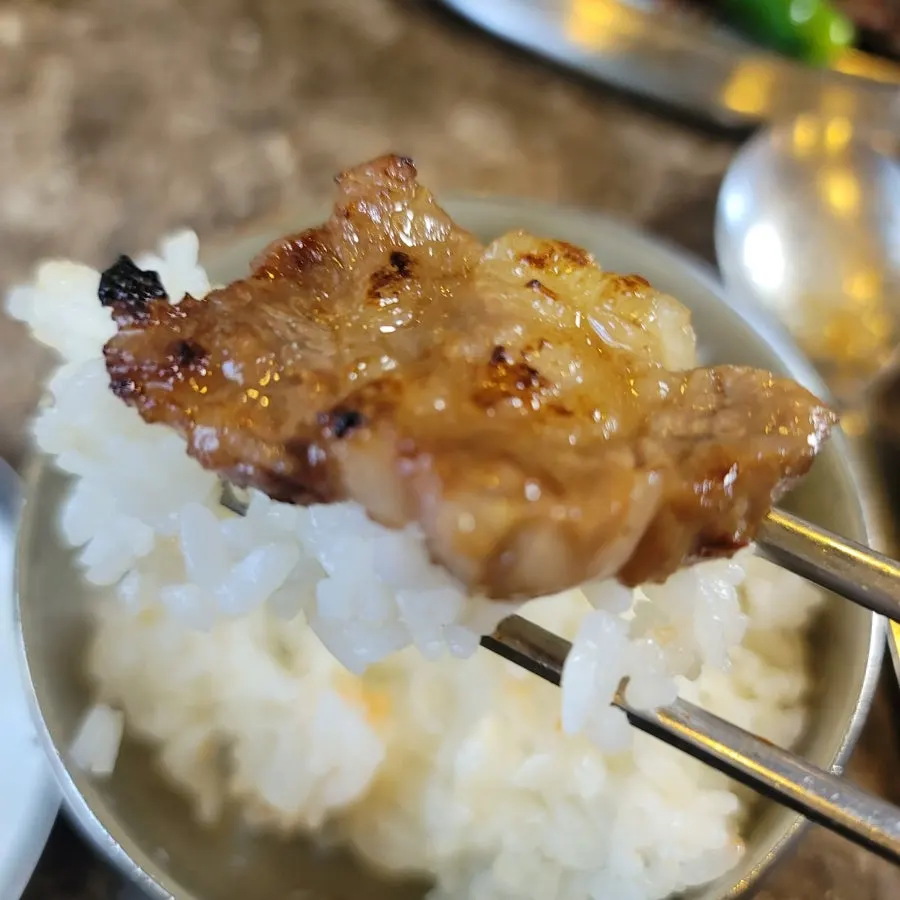 A fully cooked piece of pork galbi