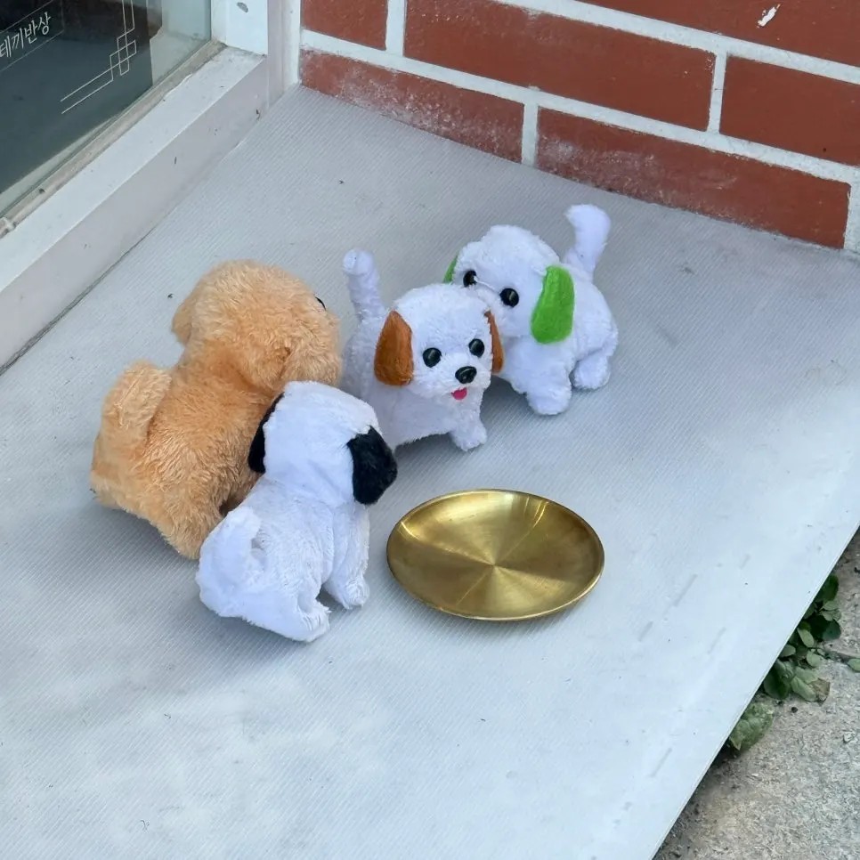 Water bowl for dogs placed outside the store