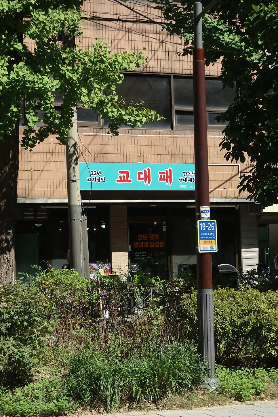 17-month-old baby walking around the Seoul National University of Education campus