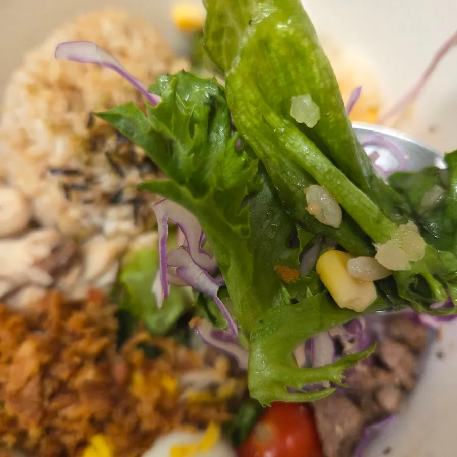A spoonful of bibim poke topped with crispy onion chips