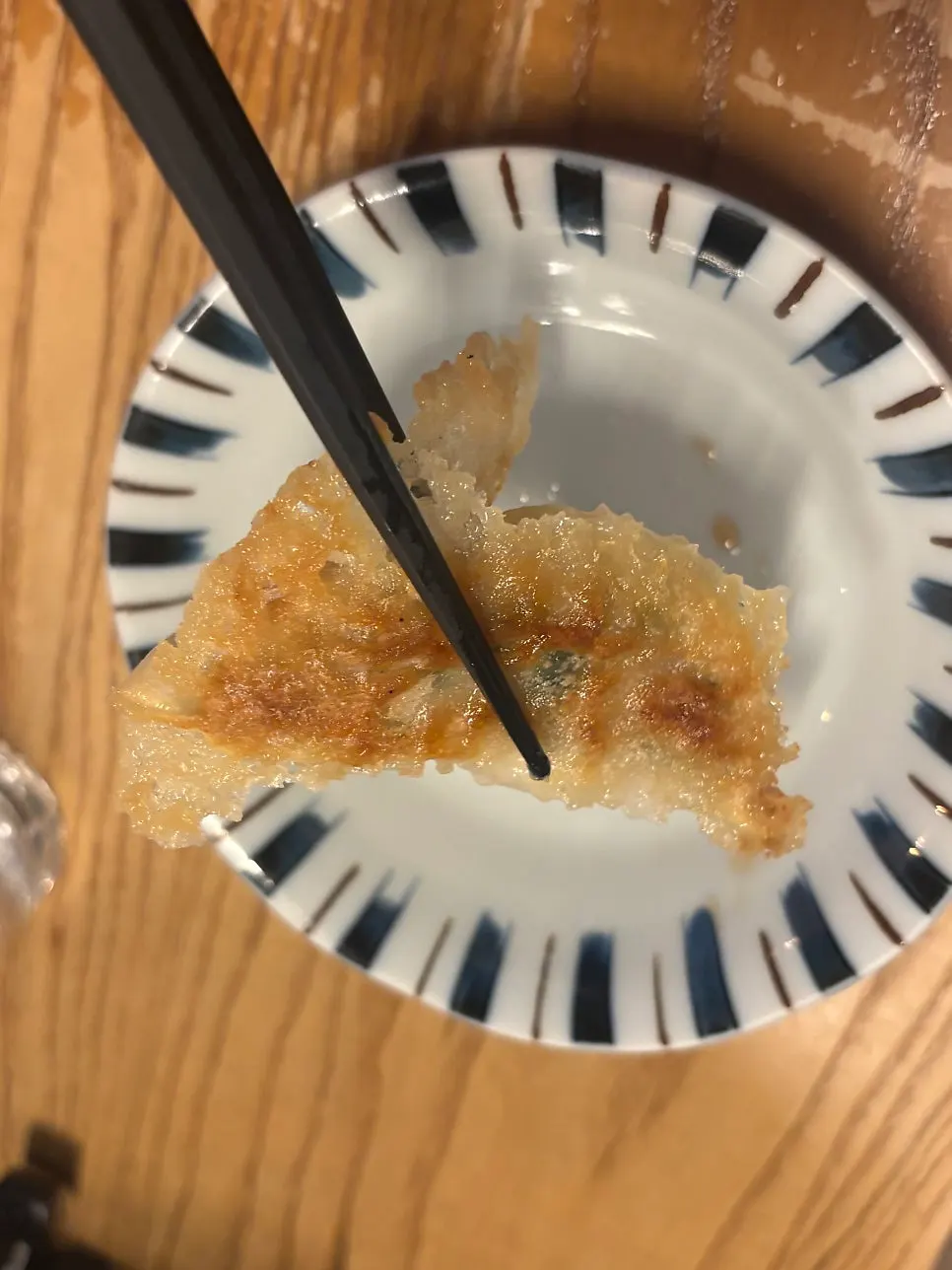 Yaki gyoza grilled crisp on the outside